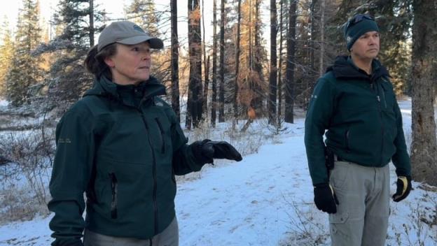 A Parks Canada Vegetation Restoration Specialist standing in a forest explaining how trees and plants are regrowing after Jasper's wildfire