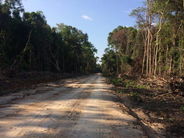 Cambodian Authorities Arrest Enviro<em></em>nmentalists For Investigating Illegal Logging